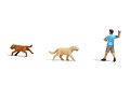 Apportierspiel m.Hunden