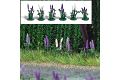 8 Stauden Wildlupinen