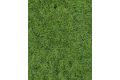 2 Wildgrasm.Waldbo. 40x24 cm