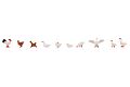 Hhner, Enten und Gnse