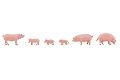 Schweine