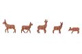 Rehe