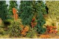 Unterholz, 60 Stck