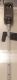 H0 HL-Vorsignal, DR